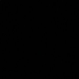 Meet your Posher, Zay